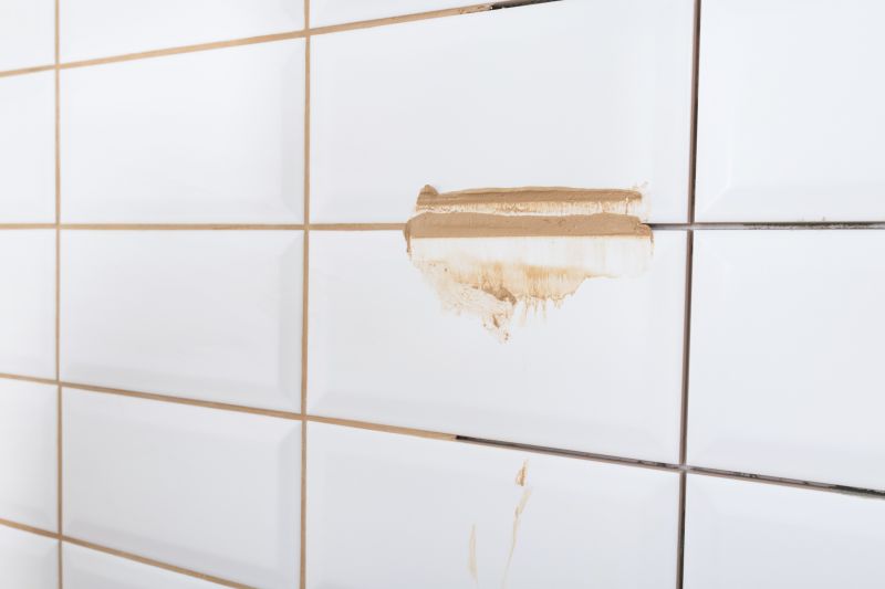 Floor Grout Replacement